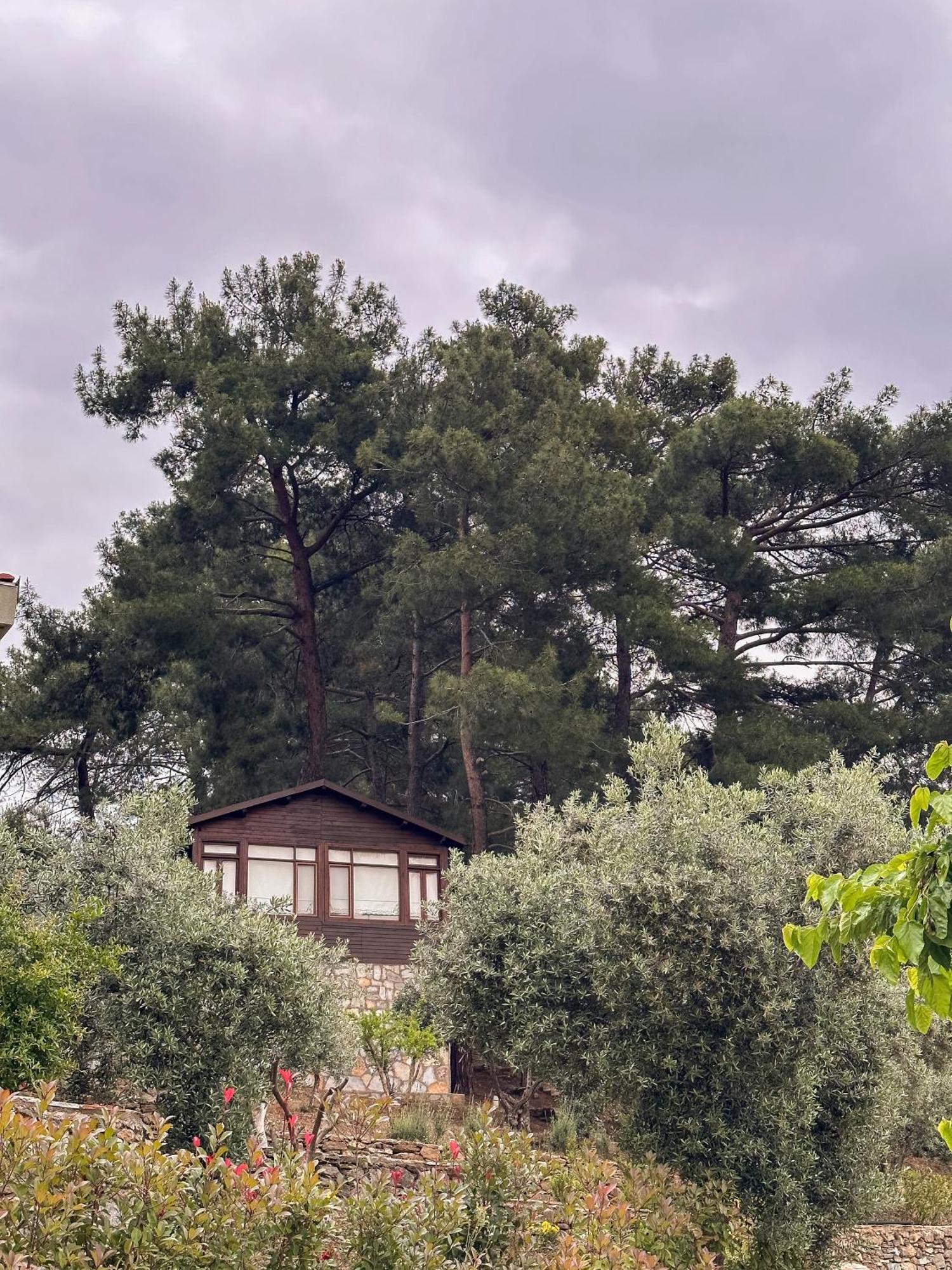 伊兹密尔 Ephesus Retreat酒店 外观 照片